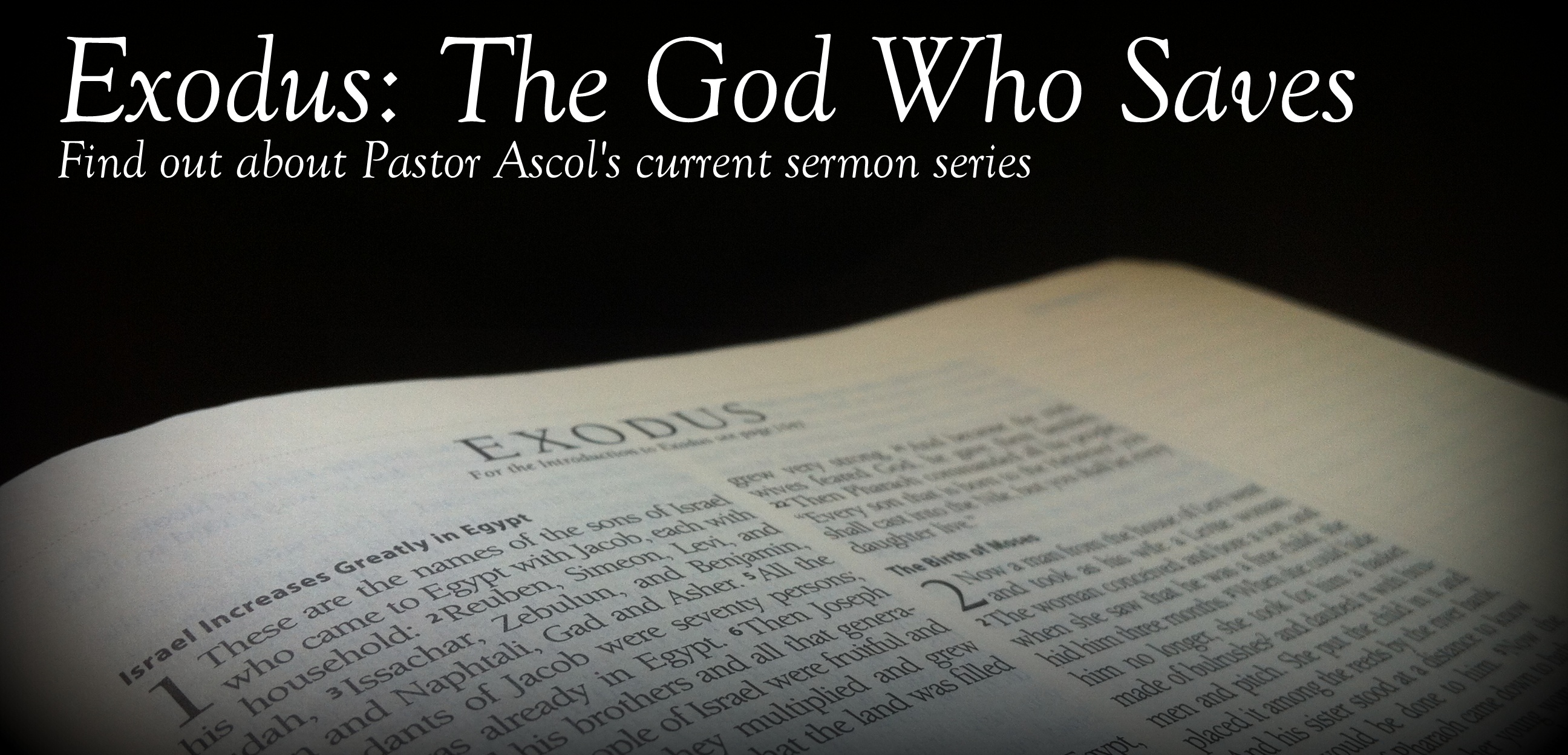 Exodus header